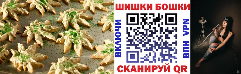 Canna-Cookies марихуана  продажа наркотиков  Александров 
