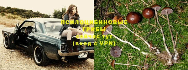 гашиш Абинск