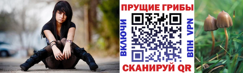 Псилоцибиновые грибы мухоморы Александров