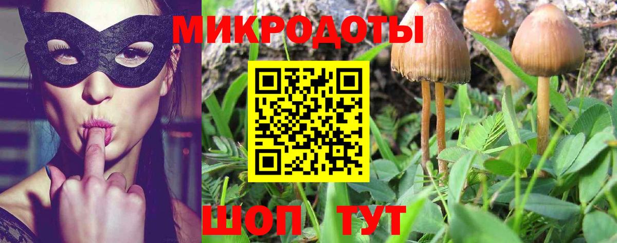 Александров  Галлюциногенные грибы Magic Shrooms  Вход с VPN 