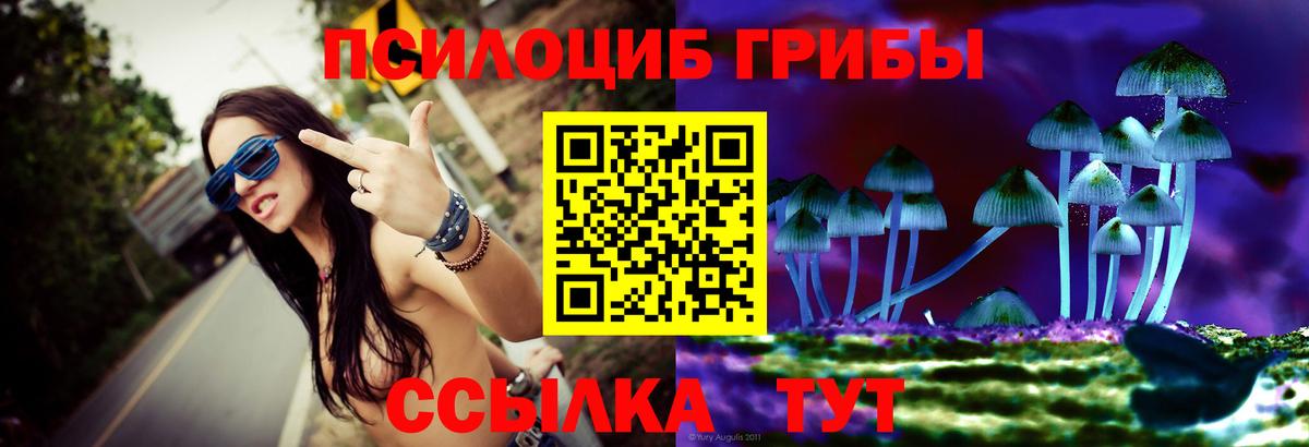 Псилоцибиновые грибы мухоморы Александров